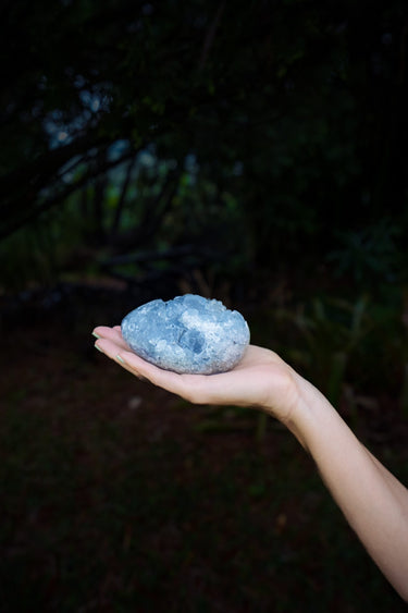 Madegascan Celestite Cluster Egg